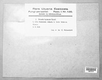 Image Associated With the Occurrence